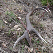 tohtoročný fešák..