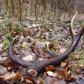 keď pršalo mrholilo..