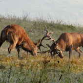 pri východe slnka..
