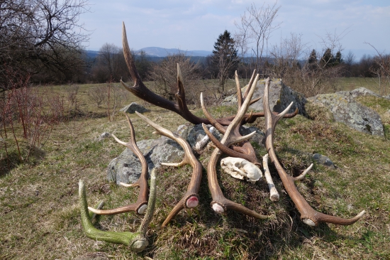 jarné upratovanie :-)