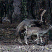 šikovný chlapec..  :-)