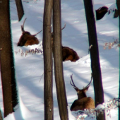 zaľahnutí mladíci..