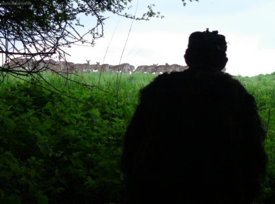 jurco pasie daniele..