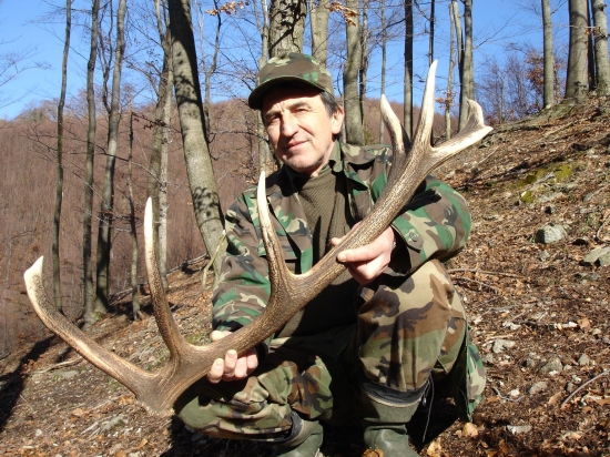 štrnástorák z bučiny..