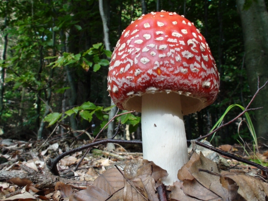 ako vyštrikovaná..