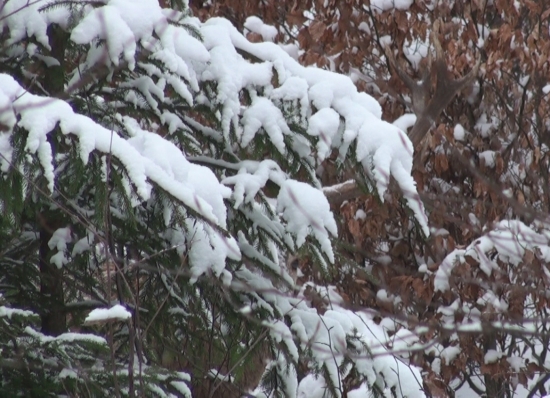 skryté pozorovanie..
