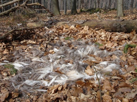 20 stupňov robí svoje..