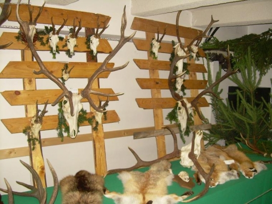 Jun - mesiac polov. vystava Lipany - PZ Bukova , PZ Demjanka