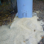 Krmelec pre diviačiu zver