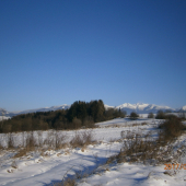 Ranný pirš