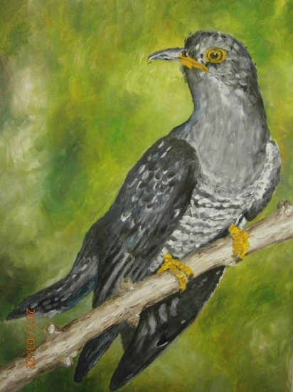 Kukučka-olej na dreve