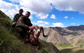 lov Marco pola v Kyrgyzstánu 2015