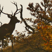 Jesenný večer v prírode.