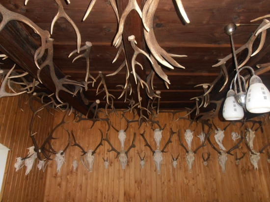 časť našej poľovníckej izby