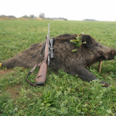 môj vlaňajší  bronzový