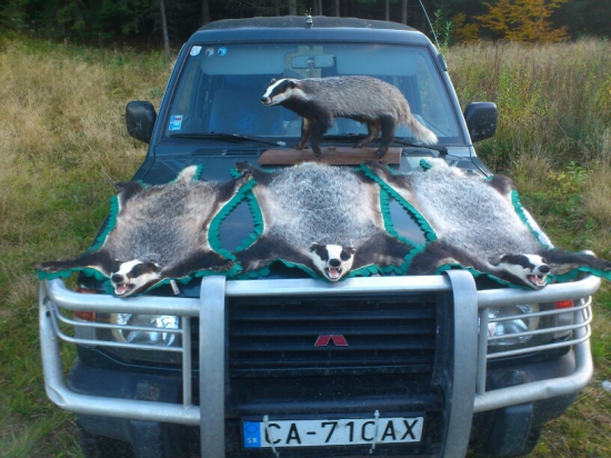 cesta domov od najlepsieho preparatora