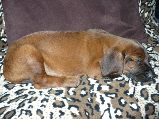 ešte za mlada - takto si podriemkaval