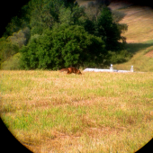 Skrytý, neskrytý, idem!