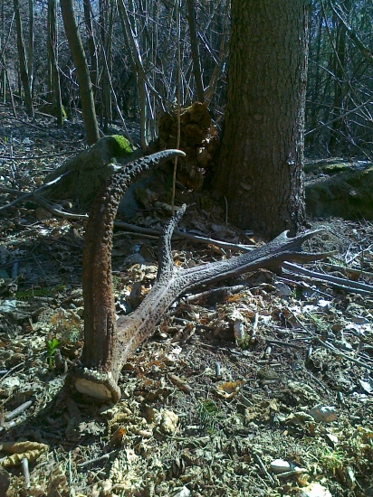 Priateľka našla prvý...
