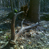 Priateľka našla prvý...