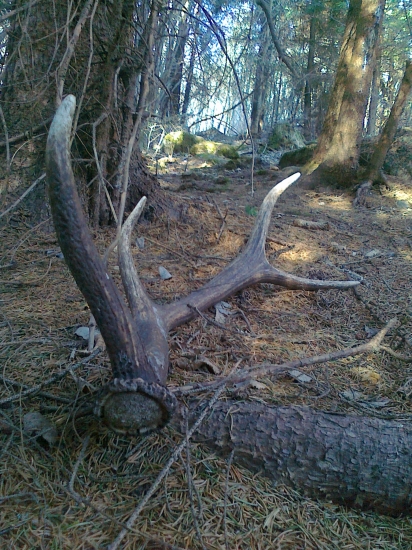 Tretí v poradí - minuloročný