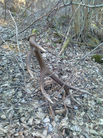 Štvrtý v poradí...