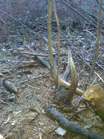 Piaty v poradí - minuloročný