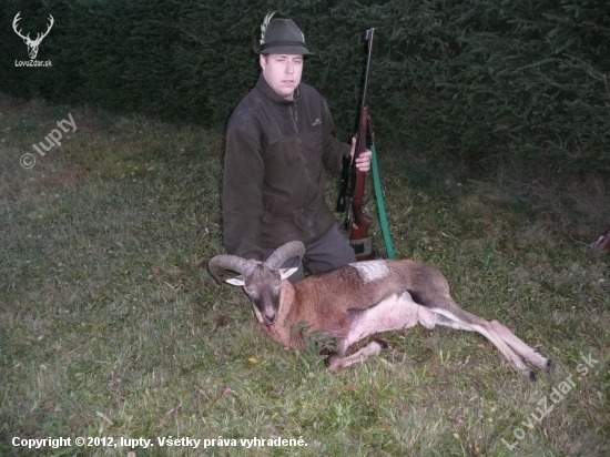 Prvý muflón