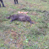 Skromný výrad, o to krajší zážitok