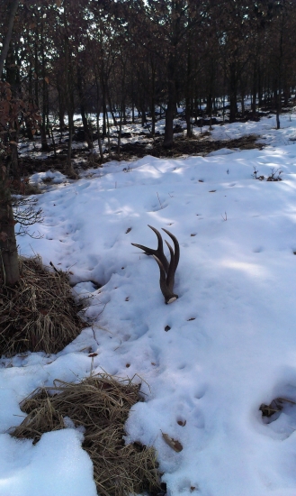 Pekný začiatok zhodárskeho dňa
