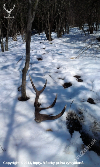 Veľkonočný parožtek 1.