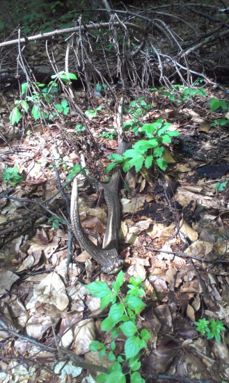 Na hlavných cvičeniach...