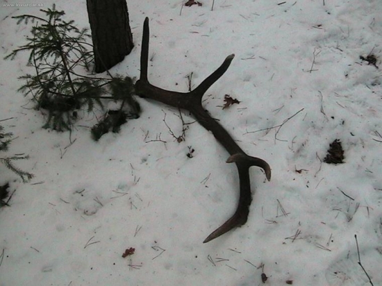 10torak, 3,20 kg, 199,5b CIC