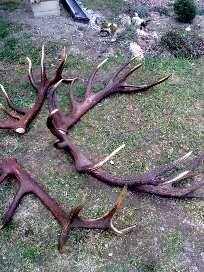 Skoda ze nie su moje 220 b druhe 210 bodove,