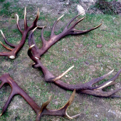 Skoda ze nie su moje 220 b druhe 210 bodove,