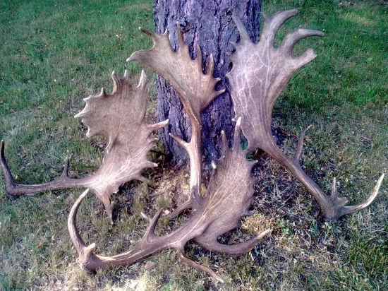 V hornom rade 219b  202 b  214 b dolu 210 bodova.