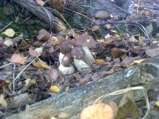 Bolo im zima ,, Zohrievali sa.