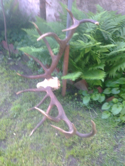 Zlaty,,Pri Papradine.