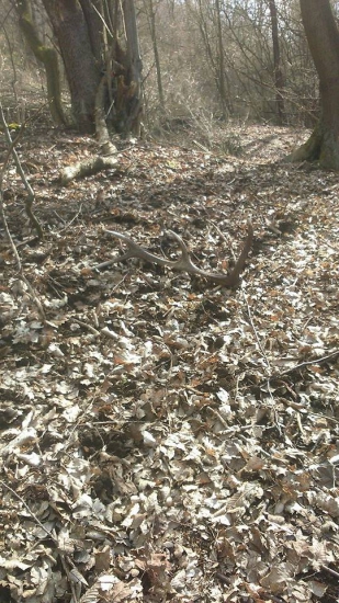 kamarátov víkendový minuloročný :)