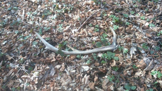 niečo z minulého roku