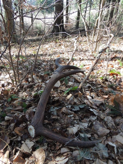 Konečne čerstvý 10-torák 2,5 kg