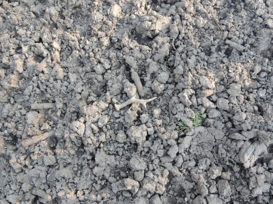 Skoro som ho pristupil