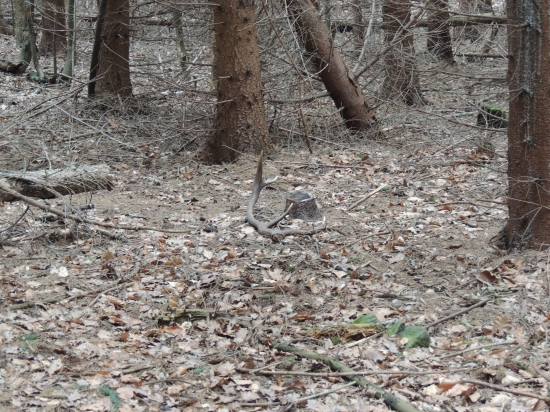Konečne čerstvý..:)