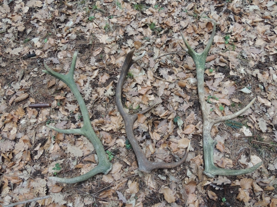 dúfam, že sa zadarí aj tento víkend