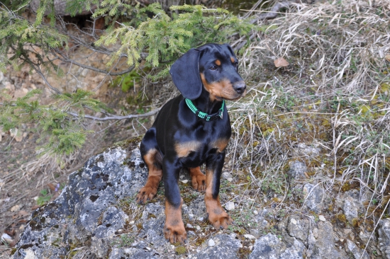 Bude zo mňa fešák?