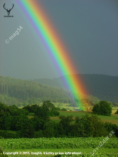 Cesta do výšin