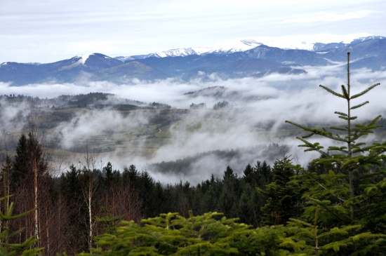 Aká si mi krásna, ...