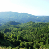 Kráter Poľany