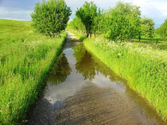 Cesta - smer Pôlč