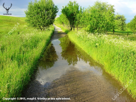 Cesta - smer Pôlč